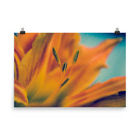 Mystical Tiger Lily Floral Nature Photo Loose Unframed Wall Art Prints - PIPAFINEART