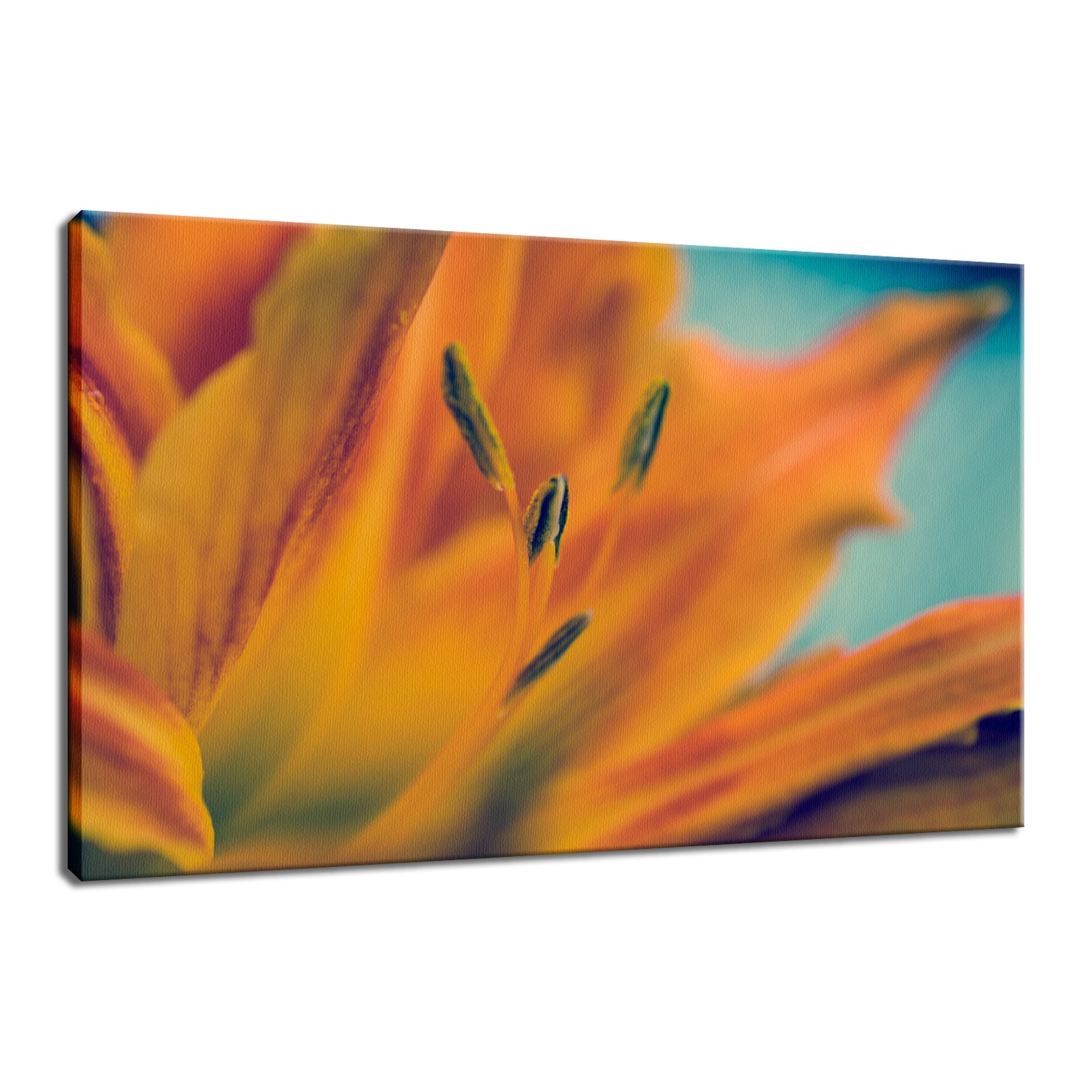 Mystical Tiger Lily Nature / Floral Photo Fine Art Canvas Wall Art Prints  - PIPAFINEART
