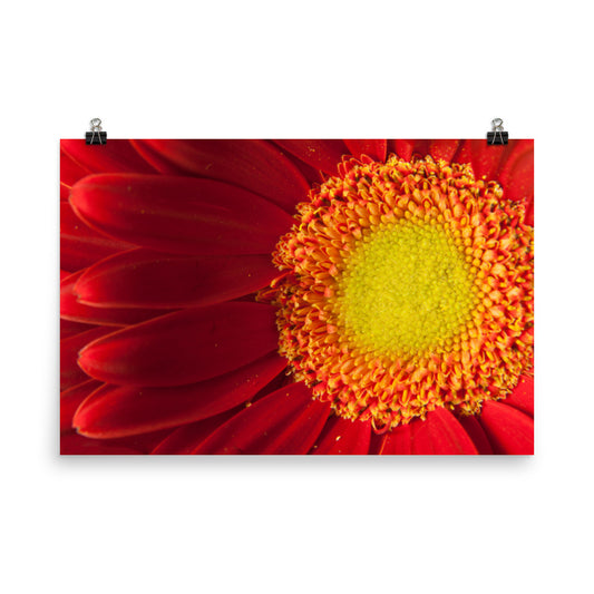 Nature's Beauty Floral Nature Photo Loose Unframed Wall Art Prints - PIPAFINEART