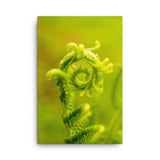 Nature's Perfection Botanical Nature Canvas Wall Art Prints