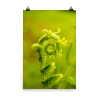 Nature's Perfection Botanical Nature Photo Loose Unframed Wall Art Prints - PIPAFINEART