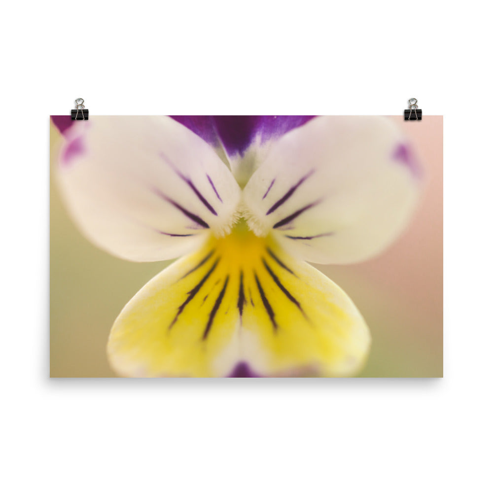 Oh Violet Floral Nature Photo Loose Unframed Wall Art Prints - PIPAFINEART