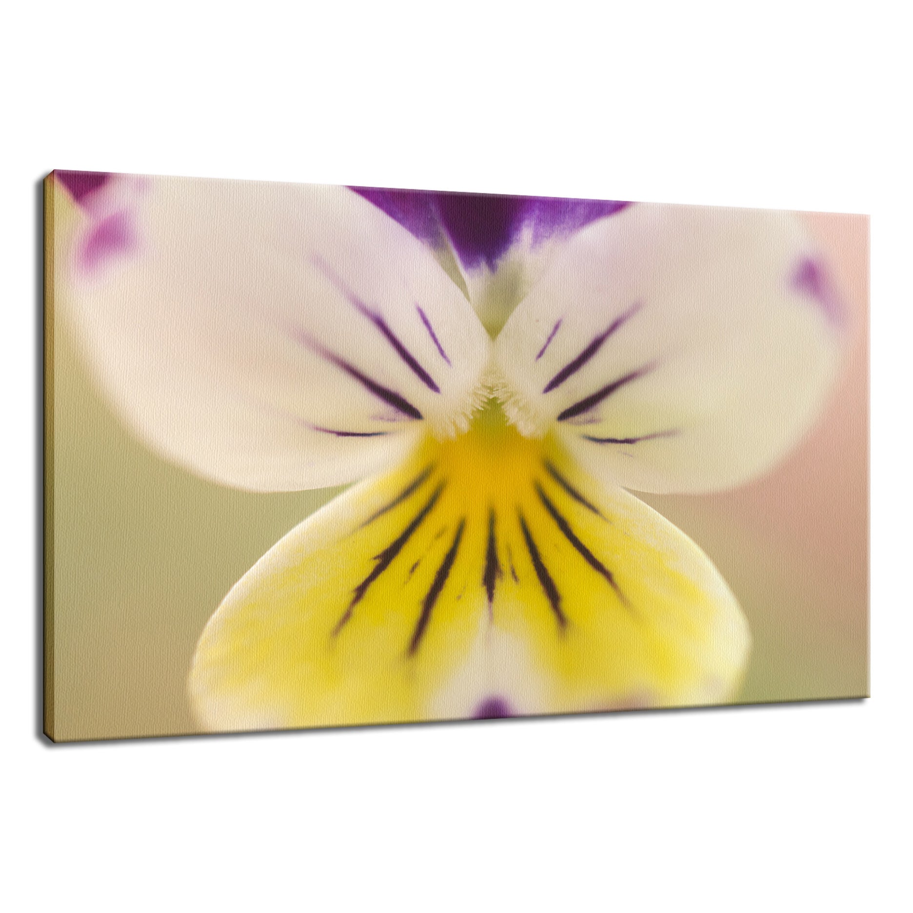 Oh, Violet Nature / Floral Photo Fine Art Canvas Wall Art Prints  - PIPAFINEART