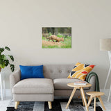 On The Move Animal / Wildlife Photograph Fine Art Canvas & Unframed Wall Art Prints 20" x 30" / Canvas Fine Art - PIPAFINEART