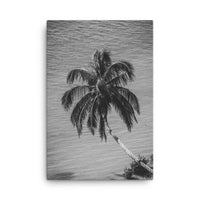Palm Over Water Black and White Floral Nature Canvas Wall Art Prints