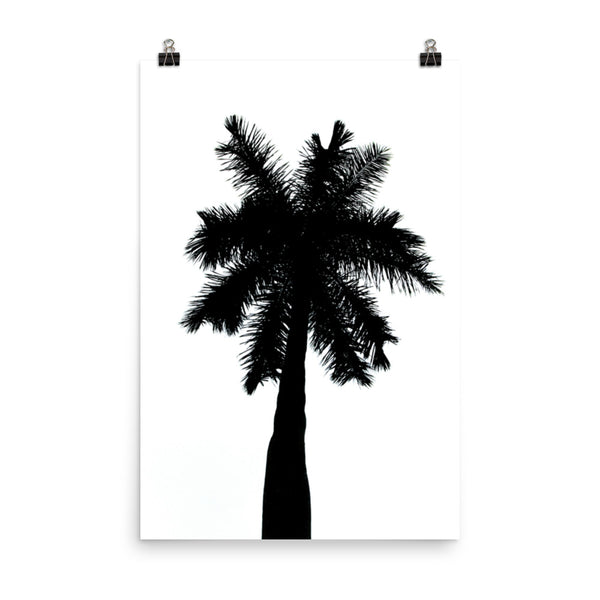Palm Tree Silhouette on Pure White Botanical Nature Photo Loose Unframed Wall Art Prints - PIPAFINEART
