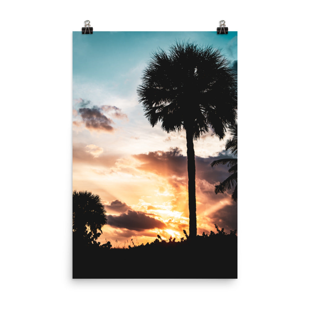 Palm Tree Silhouettes and Sunset Botanical Nature Photo Loose Unframed Wall Art Prints - PIPAFINEART