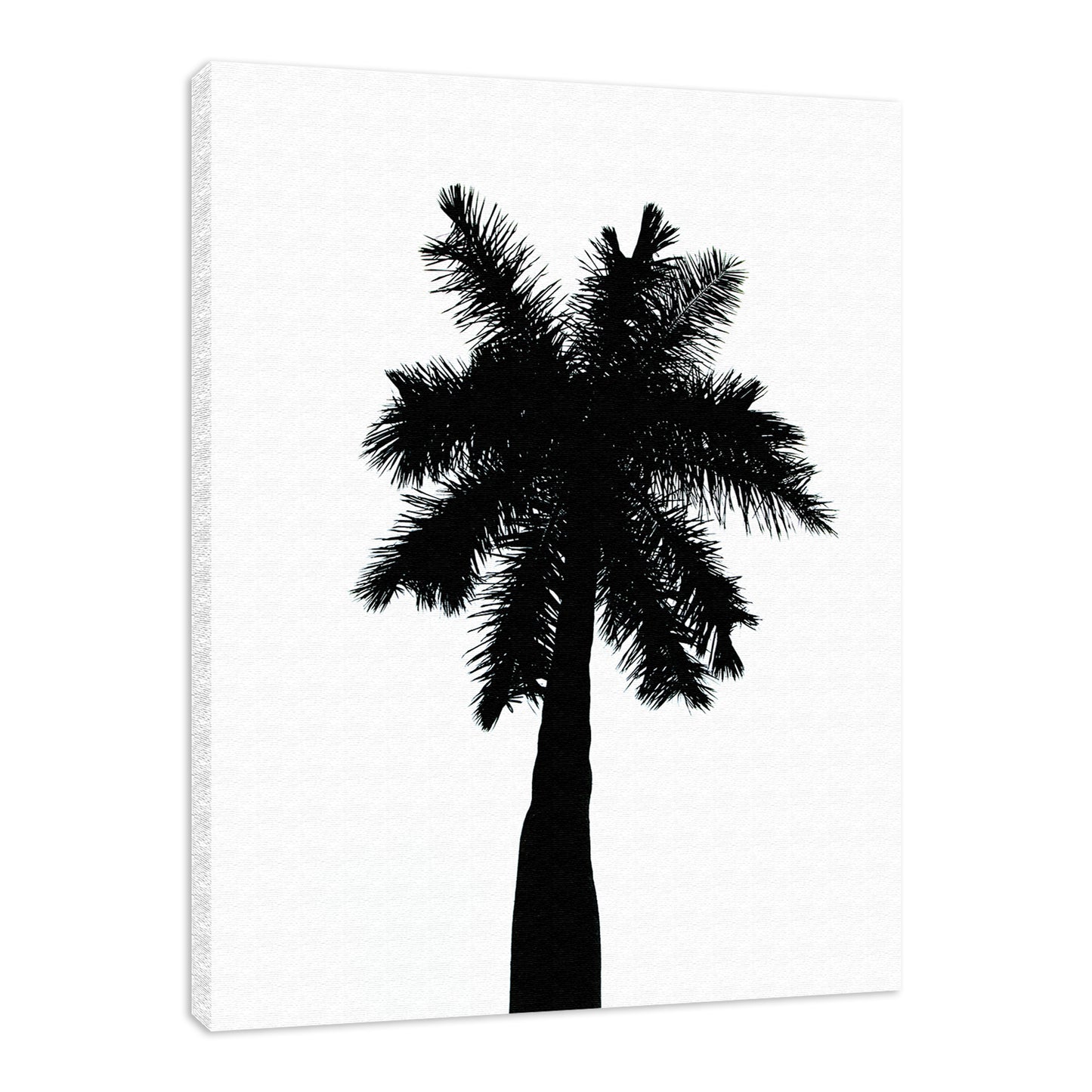 Palm Tree Silhouette on Pure White Nature / Botanical Photo Fine Art Canvas Wall Art Prints  - PIPAFINEART