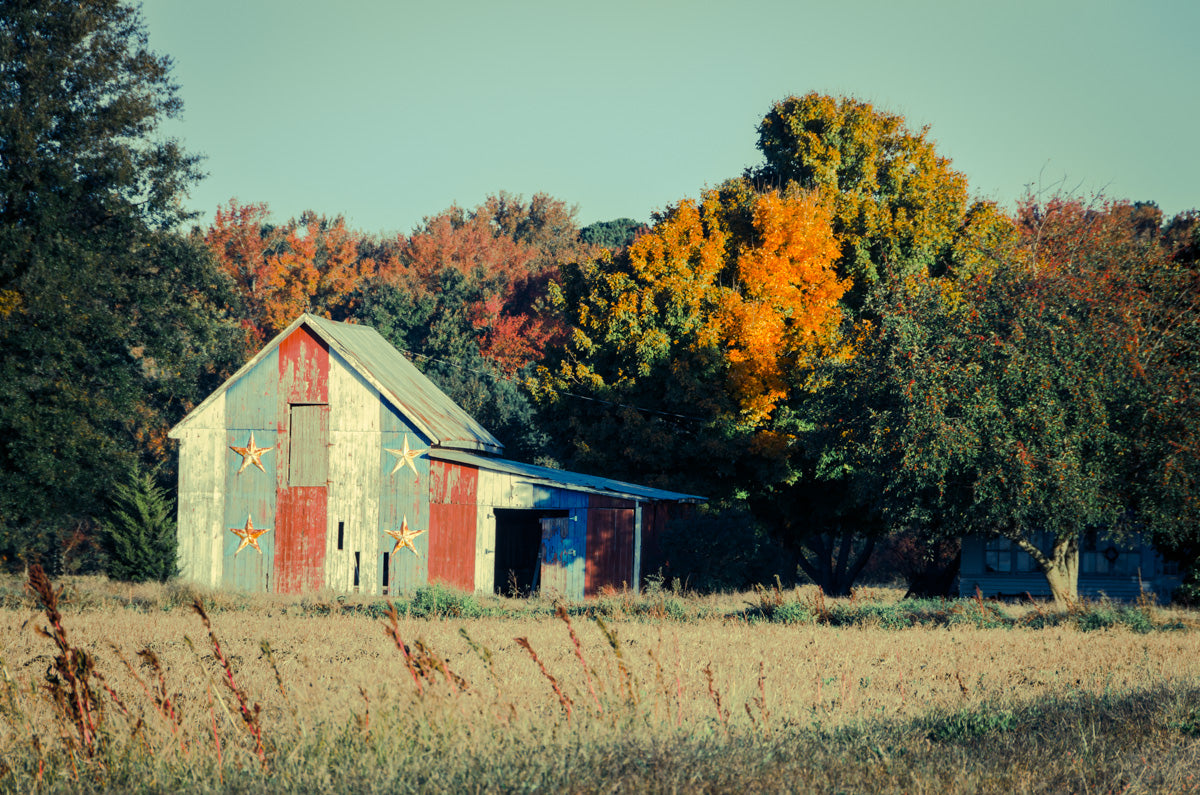 Patriotic Weathered Barn in Field Cross Processed Fine Art Canvas Wall Art Prints  - PIPAFINEART