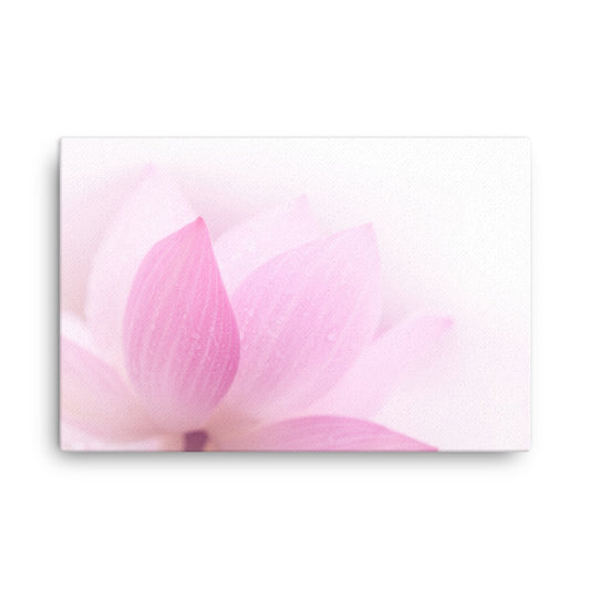 Peaceful Close-up Pink Lotus Petal Floral Botanical Nature Photo Canvas Wall Art Prints