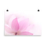 Peaceful Close-up Pink Lotus Petal Floral Nature Photo Loose Flower Wall Art Print