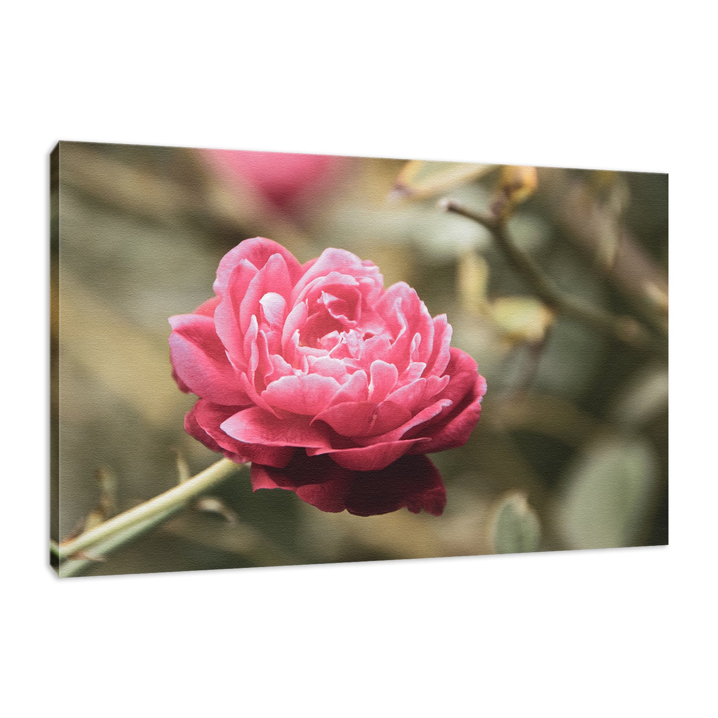 Perfect Petals Colorized Floral Nature Photo Fine Art Canvas Wall Art Prints  - PIPAFINEART
