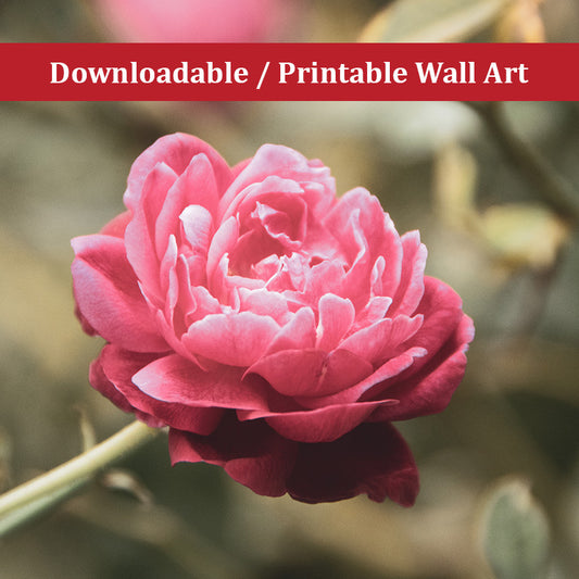 Perfect Petals Colorized Floral Nature Photo DIY Wall Decor Instant Download Print - Printable  - PIPAFINEART