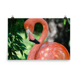 Pinky Loose Wall Art Print