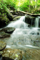 Pixley Falls 2 Landscape Photo DIY Wall Decor Instant Download Print - Printable  - PIPAFINEART