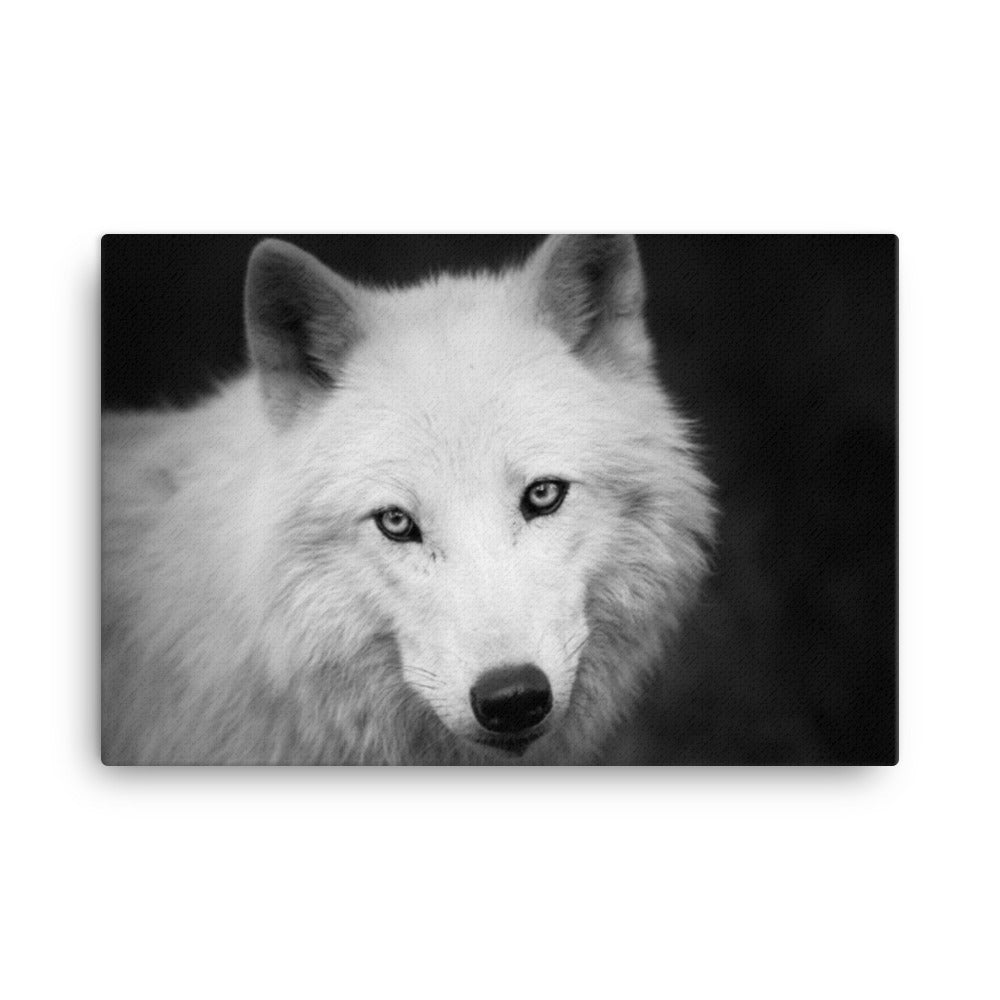 Black and White Portrait of White Wolf In The Forest Animal Wildlife Photograph Canvas Wall Art Prints