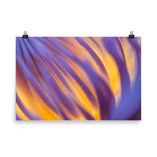 Purple and Yellow Lotus Flower Filaments Loose Nature Wall Art Print