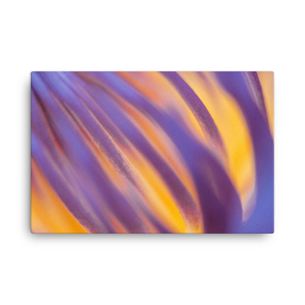 Purple and Yellow Lotus Flower Filaments Classic Canvas Wall Decorating Art Print