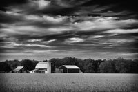 Red Barn in Golden Field Black and White Landscape Photo DIY Wall Decor Instant Download Print - Printable  - PIPAFINEART