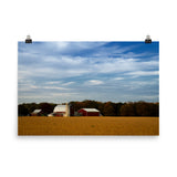 Red Barn in Golden Field Traditional Color Landscape Photo Loose Wall Art Prints - PIPAFINEART