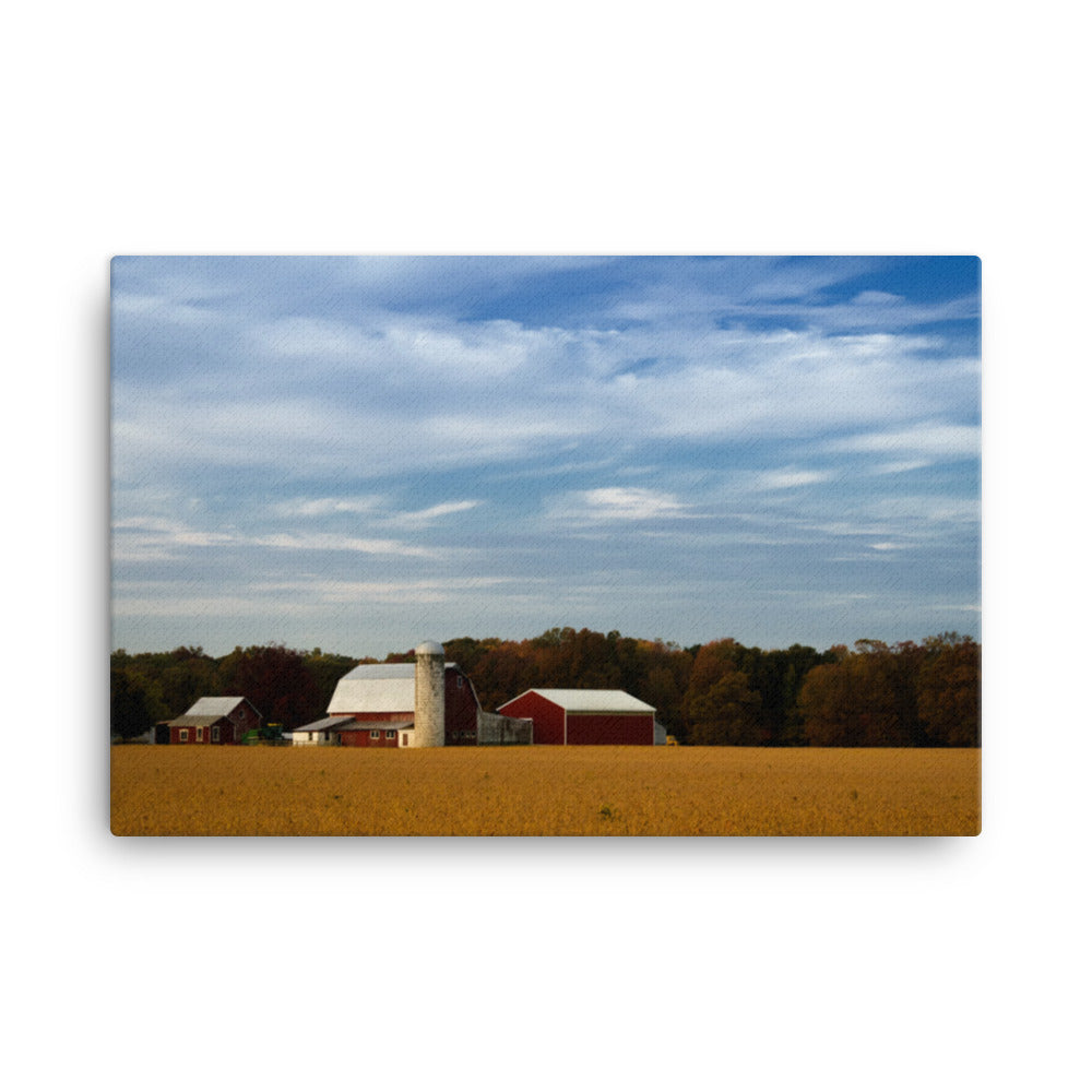 Red Barn in Golden Field Traditional Color Rural Landscape Canvas Wall Art Prints