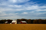 Red Barn in Golden Field Traditional Color Landscape Photo DIY Wall Decor Instant Download Print - Printable  - PIPAFINEART