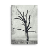 Rotting Away Alone Black and White Floral Nature Canvas Wall Art Prints