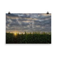 Rows of Corn and Sunset Landscape Photo Loose Wall Art Prints - PIPAFINEART