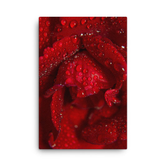 Royal Red Rose Floral Botanical Nature Photo Canvas Wall Art Prints