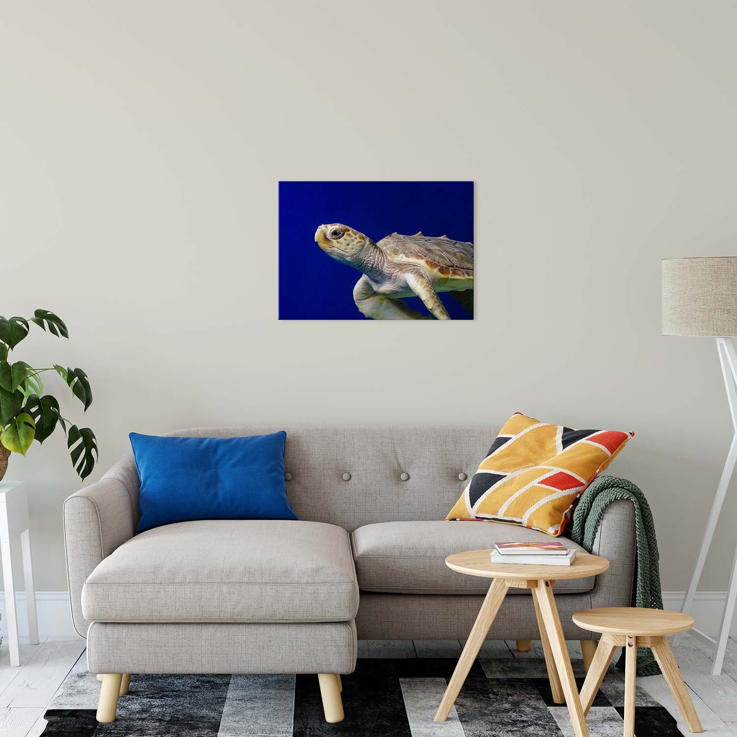 Sea Turtle 2 Animal / Wildlife Photograph Fine Art Canvas & Unframed Wall Art Prints 20" x 30" / Canvas Fine Art - PIPAFINEART