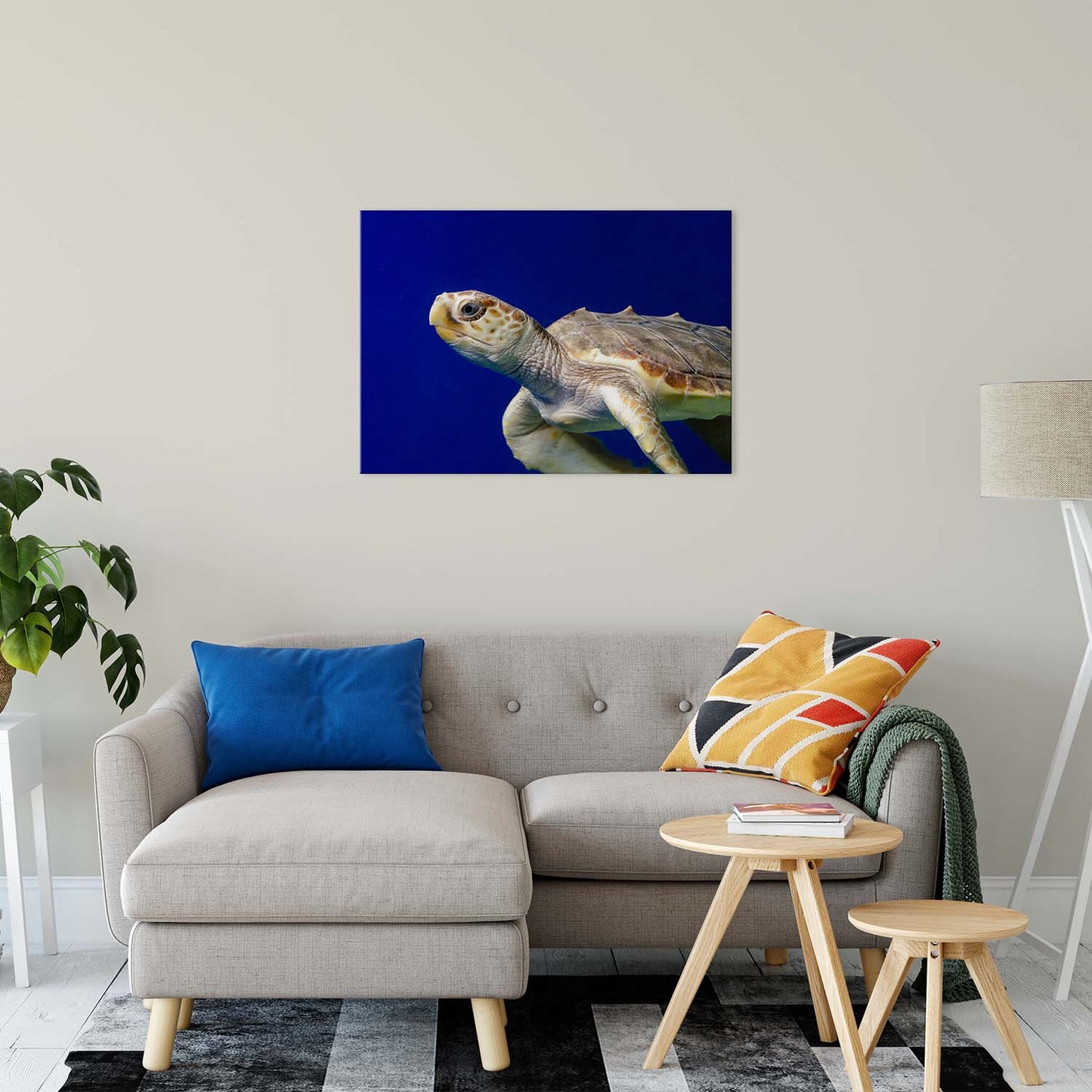 Sea Turtle 2 Animal / Wildlife Photograph Fine Art Canvas & Unframed Wall Art Prints 24" x 36" / Canvas Fine Art - PIPAFINEART