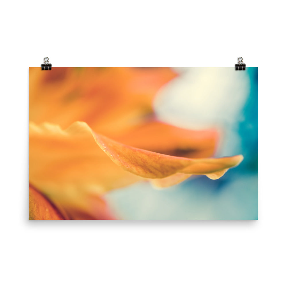 Serene Petals Of Life Floral Nature Photo Loose Unframed Wall Art Prints - PIPAFINEART
