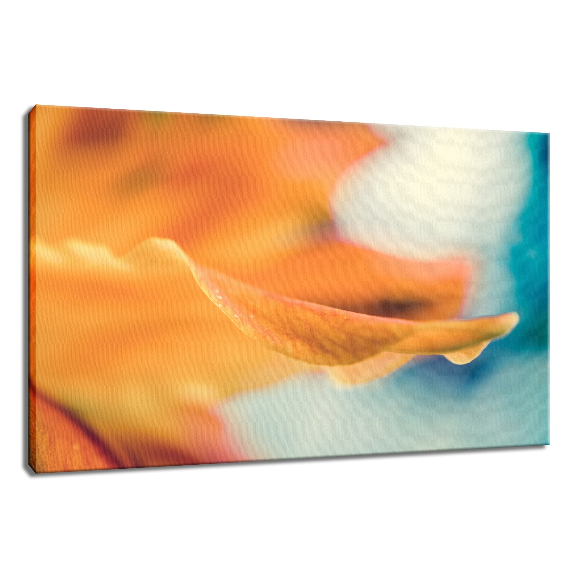 Serene Petals of Life Nature / Floral Photo Fine Art Canvas Wall Art Prints  - PIPAFINEART
