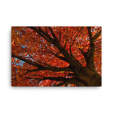 Shimmering Orange Floral Nature Canvas Wall Art Prints