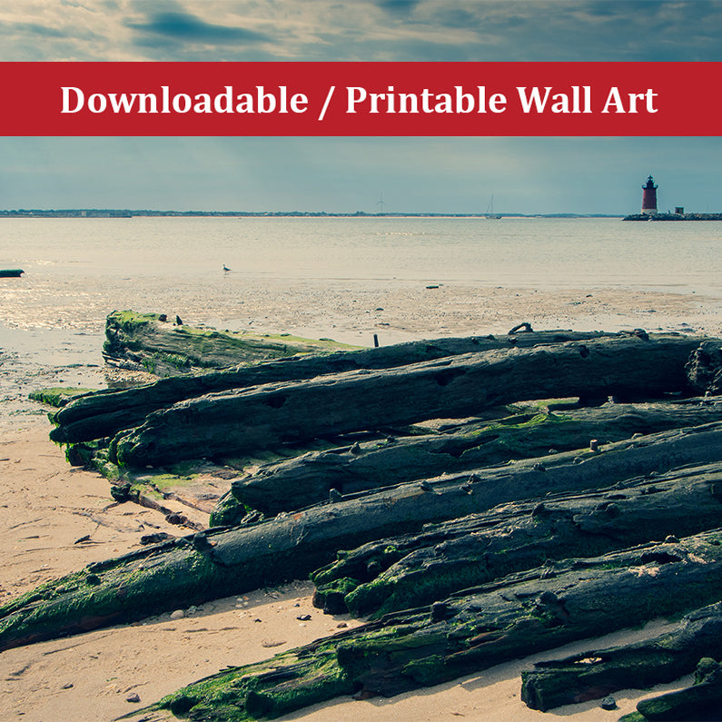 Shipwreck Cape Henlopen - Breakwater Harbor 2 Landscape Photo DIY Wall Decor Instant Download Print - Printable  - PIPAFINEART
