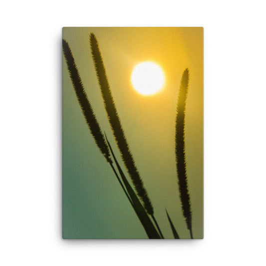 Silhouettes in Sunset Botanical Nature Canvas Wall Art Prints