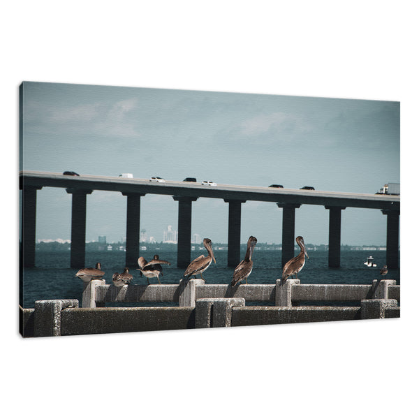 Skyway Bridge & Bob's Pelican Friends Wildlife Photo Fine Art Canvas & Unframed Wall Art Prints  - PIPAFINEART
