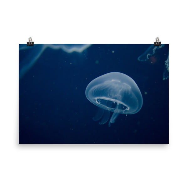 Small Blue Jelly Loose Wall Art Print
