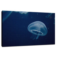 Small Blue Jelly Animal / Wildlife Photograph Fine Art Canvas & Unframed Wall Art Prints  - PIPAFINEART