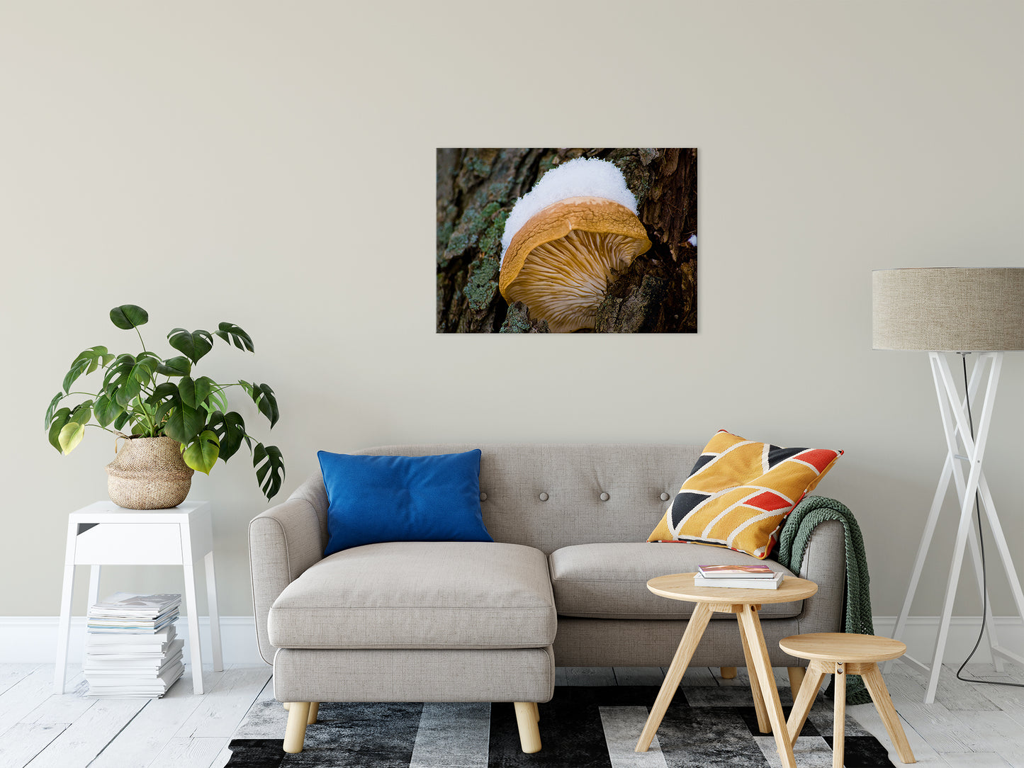 Snow Fungus Botanical / Nature Photo Fine Art Canvas Wall Art Prints 24" x 36" - PIPAFINEART