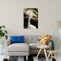 Snowy Egret Animal / Wildlife Photograph Fine Art Canvas & Unframed Wall Art Prints 24" x 36" / Canvas Fine Art - PIPAFINEART