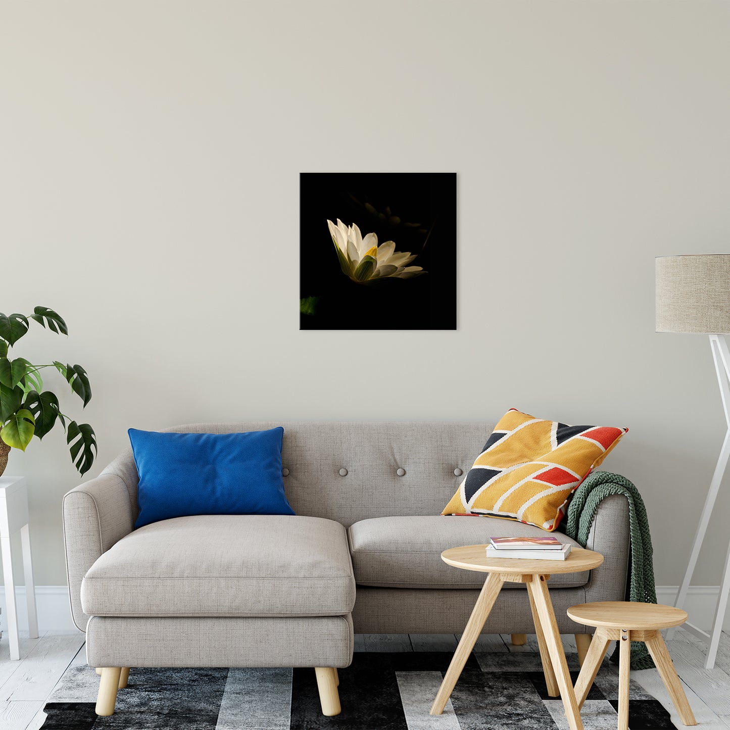 Spotlight on Waterlily - Square Nature / Floral Photo Fine Art & Unframed Wall Art Prints 20" x 20" / Fine Art Canvas - PIPAFINEART