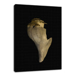 States Of Erosion Image 7 Coastal Nature Photo Fine Art Canvas Wall Art Prints  - PIPAFINEART