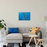 Streaking Tree Abstract Photo Fine Art Canvas & Unframed Wall Art Prints 20" x 24" / Fine Art Canvas - PIPAFINEART