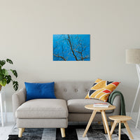 Streaking Tree Abstract Photo Fine Art Canvas & Unframed Wall Art Prints 20" x 30" / Fine Art Canvas - PIPAFINEART