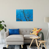 Streaking Tree Abstract Photo Fine Art Canvas & Unframed Wall Art Prints 24" x 36" / Fine Art Canvas - PIPAFINEART