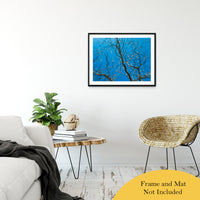 Streaking Tree Abstract Photo Fine Art Canvas & Unframed Wall Art Prints 24" x 36" / Classic Paper - Unframed - PIPAFINEART