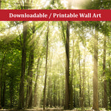 Sun Rays Through Tree Tops Landscape Photo DIY Wall Decor Instant Download Print - Printable  - PIPAFINEART