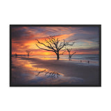 Sunrise and Trees At Edisto Island Framed Wall Art Print