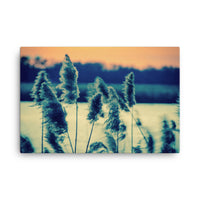 Sunset on the Marsh 2 Coastal Landscape Canvas Wall Art Prints